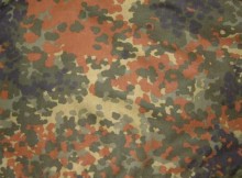 Le Flecktarn